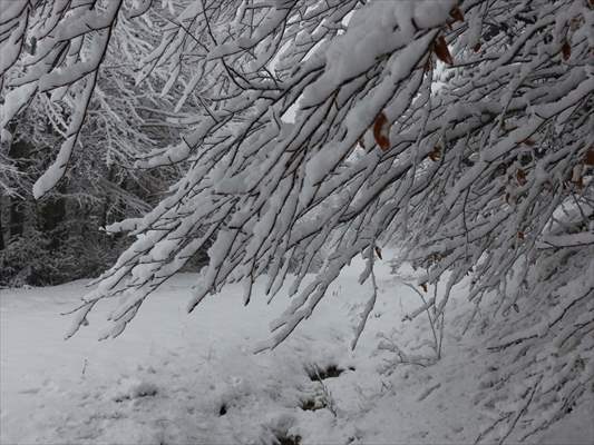 Abant tabiat parkı karlar altında