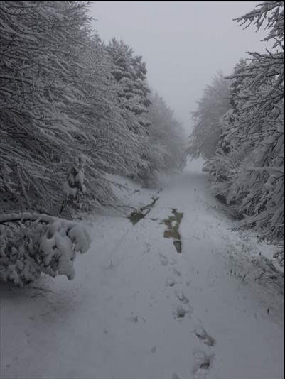Abant tabiat parkı karlar altında