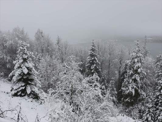 Abant tabiat parkı karlar altında