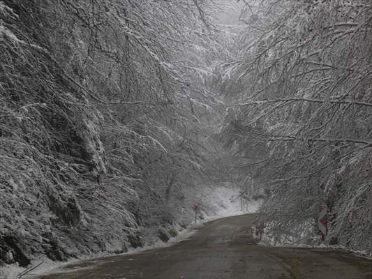 Abant tabiat parkı karlar altında