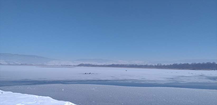 Bolu'da aşırı soğuk yüzünden çeşmeler dondu, Yeniçağa Gölü buz tuttu