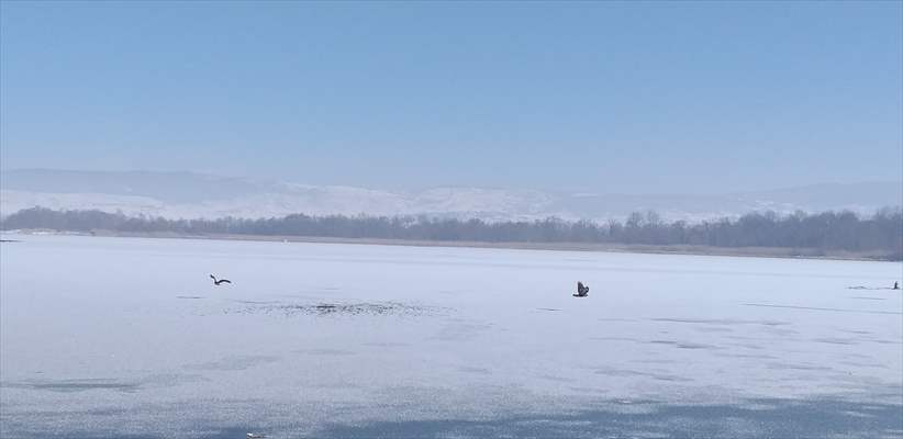 Bolu'da aşırı soğuk yüzünden çeşmeler dondu, Yeniçağa Gölü buz tuttu