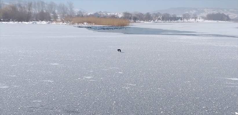 Bolu'da aşırı soğuk yüzünden çeşmeler dondu, Yeniçağa Gölü buz tuttu