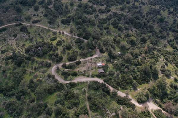 Bodrum'da Pedasa Antik Kenti'ndeki 170 dönümlük tarla satışa çıkarıldı