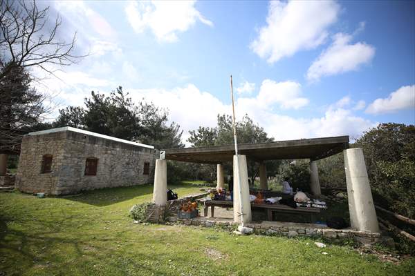 Bodrum'da Pedasa Antik Kenti'ndeki 170 dönümlük tarla satışa çıkarıldı