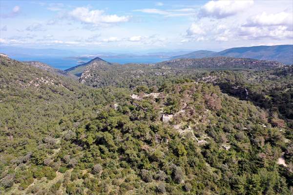 Bodrum'da Pedasa Antik Kenti'ndeki 170 dönümlük tarla satışa çıkarıldı