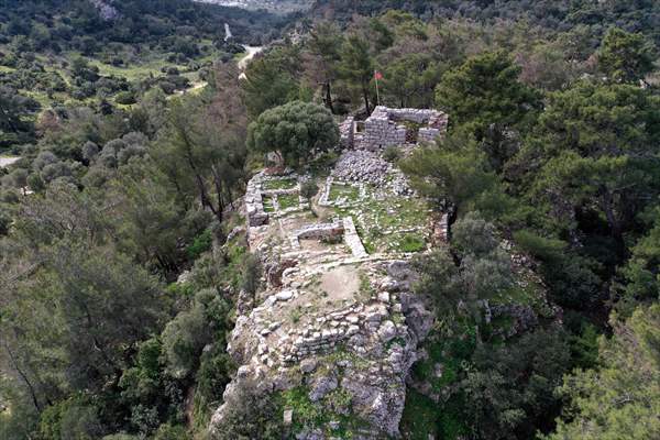 Bodrum'da Pedasa Antik Kenti'ndeki 170 dönümlük tarla satışa çıkarıldı