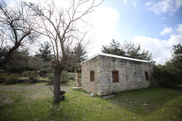 Bodrum'da Pedasa Antik Kenti'ndeki 170 dönümlük tarla satışa çıkarıldı