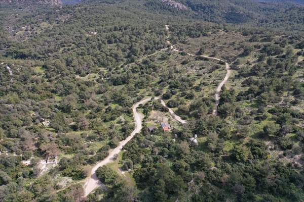 Bodrum'da Pedasa Antik Kenti'ndeki 170 dönümlük tarla satışa çıkarıldı