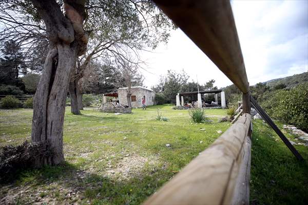 Bodrum'da Pedasa Antik Kenti'ndeki 170 dönümlük tarla satışa çıkarıldı