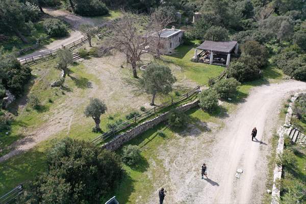 Bodrum'da Pedasa Antik Kenti'ndeki 170 dönümlük tarla satışa çıkarıldı