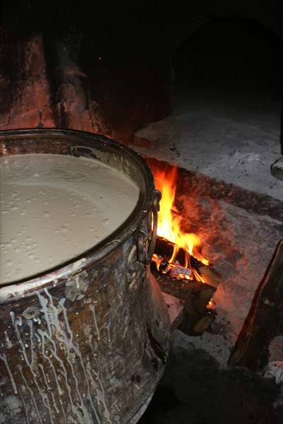 Bolu'nun tescilli ürünü "uğut" sofraları tatlandırıyor