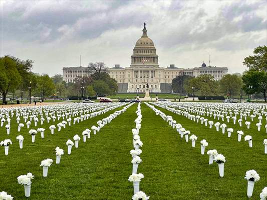 The Gun Violence Memorial On National Mall To Remember Victims Of Gun Violence