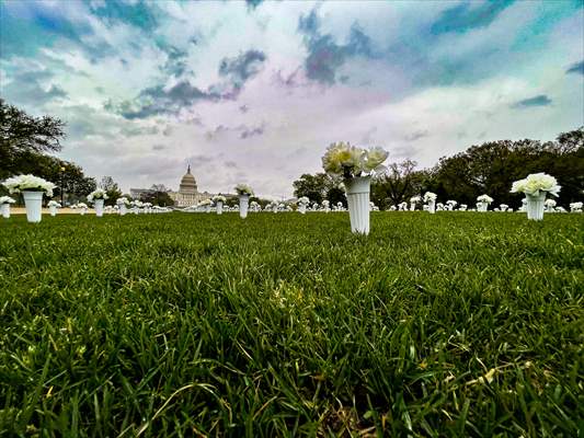 The Gun Violence Memorial On National Mall To Remember Victims Of Gun Violence