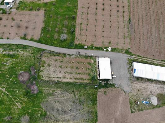 Yastık altındaki altınları ekonomiye kazandırdı, tavuk çiftliği sahibi oldu