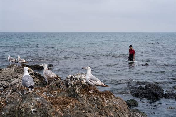 Migrant influx to Ceuta