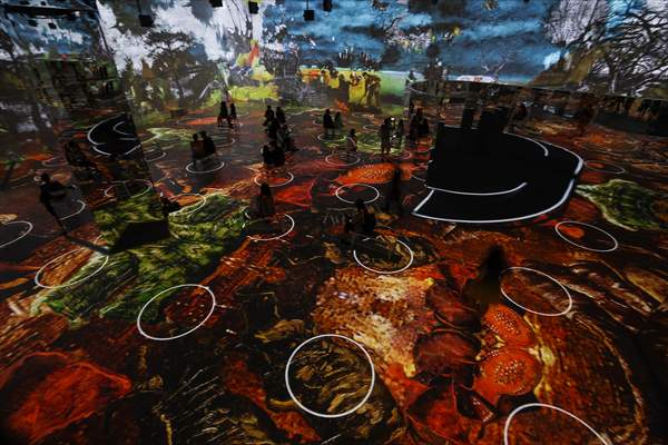 Immersive Van Gogh Exhibit opens in NYC