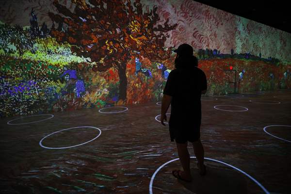 Immersive Van Gogh Exhibit opens in NYC