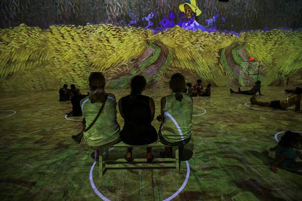 Immersive Van Gogh Exhibit opens in NYC