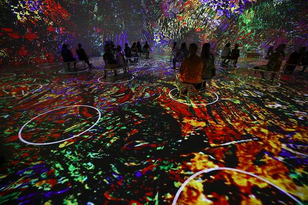 Immersive Van Gogh Exhibit opens in NYC