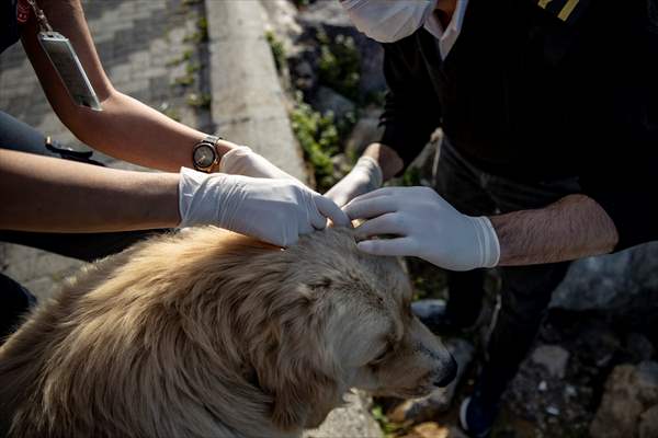 Adalardan ana karaya yaşam köprüsü: 112 deniz ambulansları