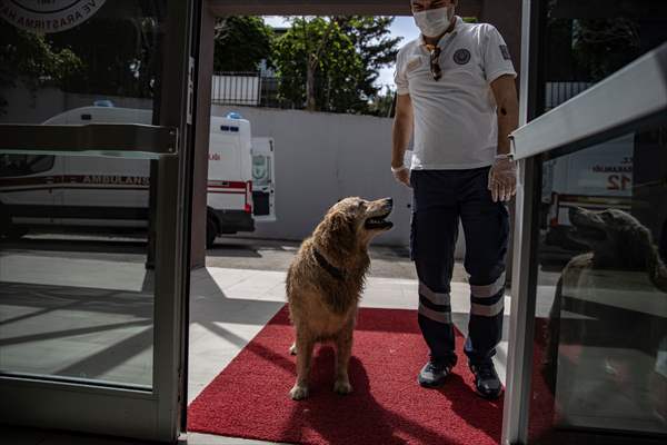 Adalardan ana karaya yaşam köprüsü: 112 deniz ambulansları