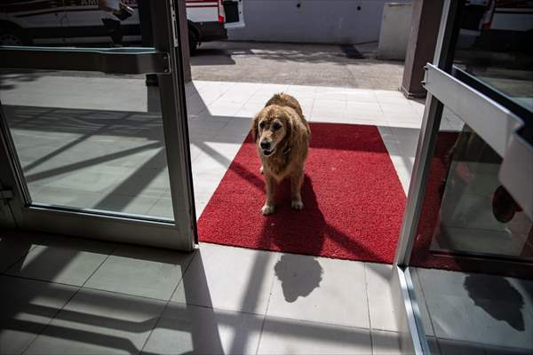 Adalardan ana karaya yaşam köprüsü: 112 deniz ambulansları