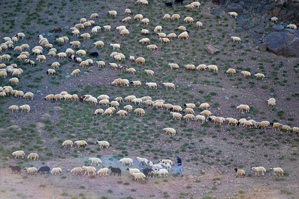 Tunceli'deki 3 bin 500 rakımlı "Elmalı Yaylası" doğal güzellikleriyle göz kamaştırıyor