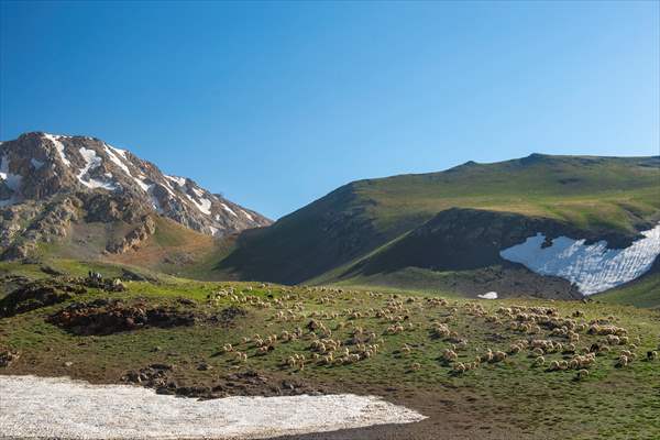 Tunceli'deki 3 bin 500 rakımlı "Elmalı Yaylası" doğal güzellikleriyle göz kamaştırıyor