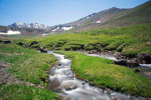 Tunceli'deki 3 bin 500 rakımlı "Elmalı Yaylası" doğal güzellikleriyle göz kamaştırıyor