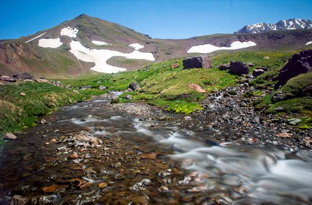 Tunceli'deki 3 bin 500 rakımlı "Elmalı Yaylası" doğal güzellikleriyle göz kamaştırıyor