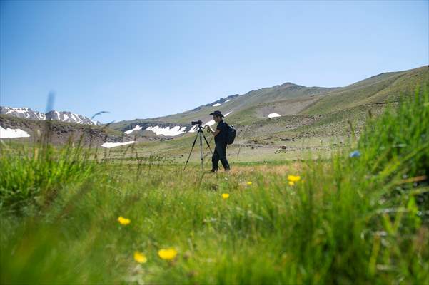 Tunceli'deki 3 bin 500 rakımlı "Elmalı Yaylası" doğal güzellikleriyle göz kamaştırıyor