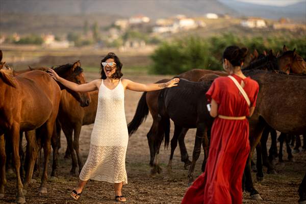 Wild horses in the foothills of Mount Erciyes​​​​​​​