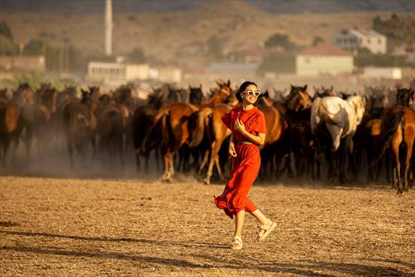 Wild horses in the foothills of Mount Erciyes​​​​​​​