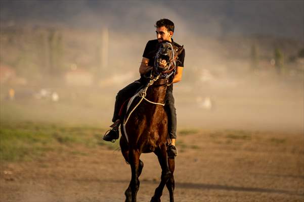 Wild horses in the foothills of Mount Erciyes​​​​​​​