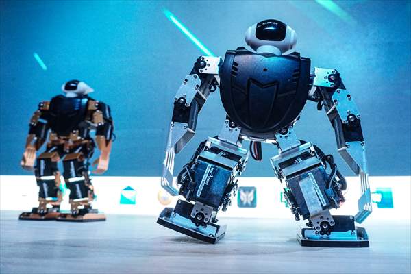 Cyber Graduation Robots in Philippines