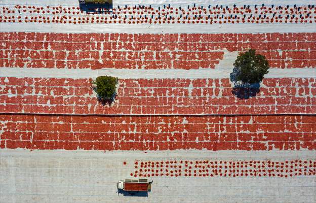 Sun-dried tomatoes in Turkey's Izmir