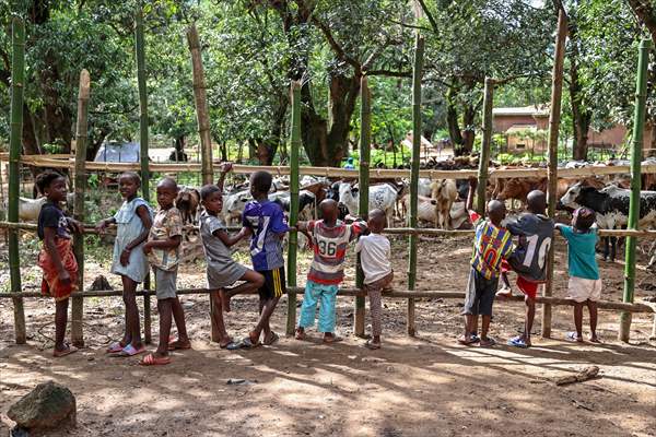 Children of Guinea