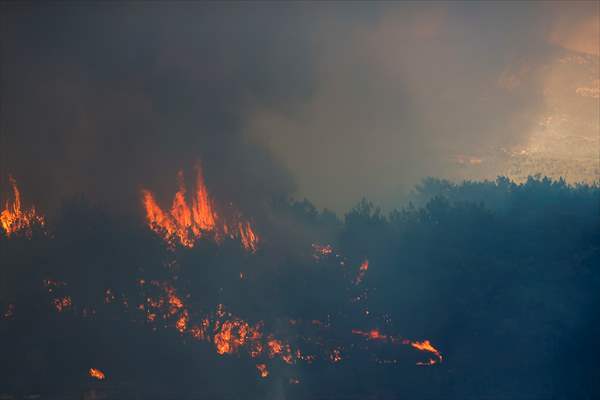Forest fire in Turkey's Antalya