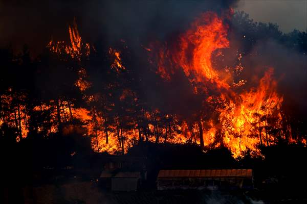Forest fire in Turkey's Antalya