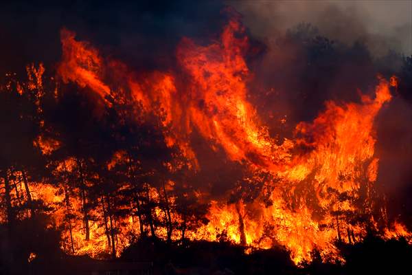 Forest fire in Turkey's Antalya