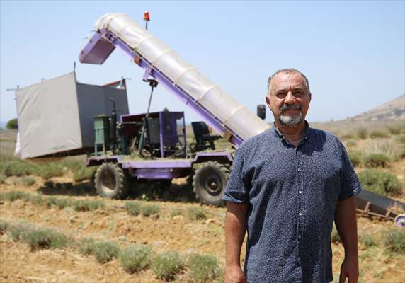 Lavanta hasadı için işçi bulmakta zorlanan hekim, hasat makinesi geliştirdi
