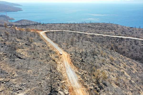 Aftermath of forest fires in Turkey's Mugla