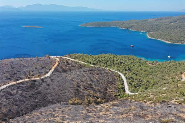 Aftermath of forest fires in Turkey's Mugla