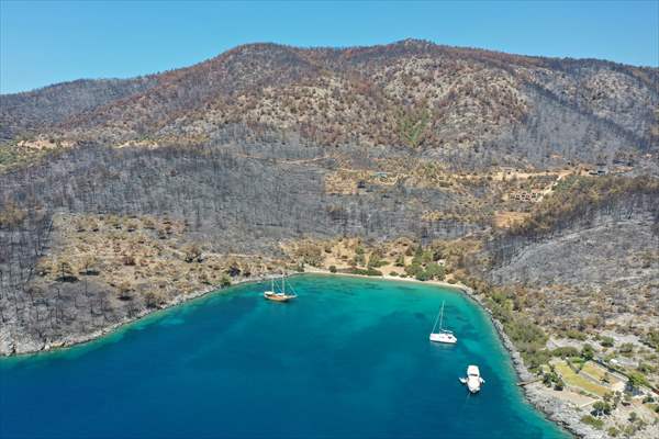 Aftermath of forest fires in Turkey's Mugla