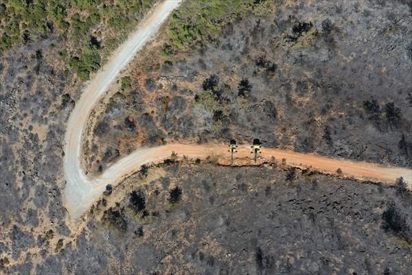 Aftermath of forest fires in Turkey's Mugla