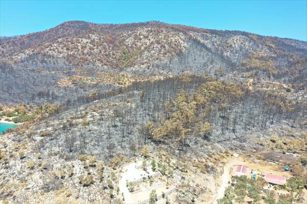 Aftermath of forest fires in Turkey's Mugla