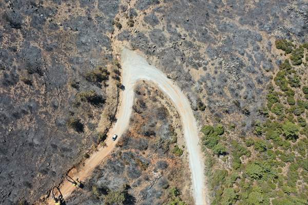 Aftermath of forest fires in Turkey's Mugla