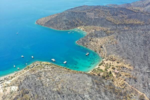 Aftermath of forest fires in Turkey's Mugla