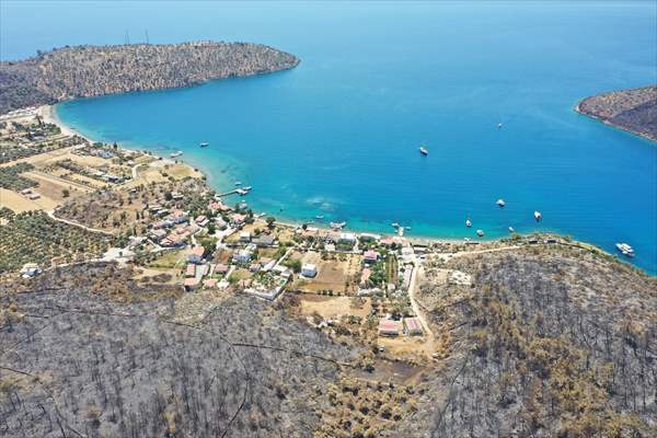 Aftermath of forest fires in Turkey's Mugla